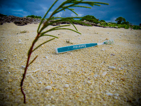 marine debris plastic pollution